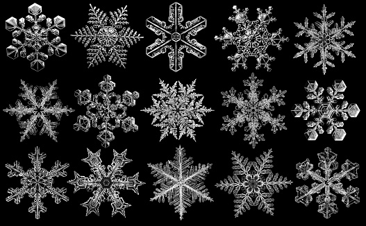 White natural snowflakes collection on black background