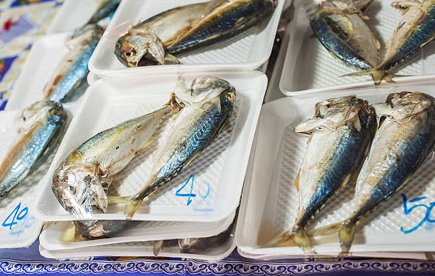 istock Mackerel steam on a white foam 487642372