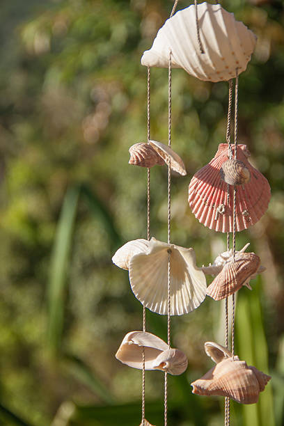 istock Decoration made of sea shells on the thread 487642406