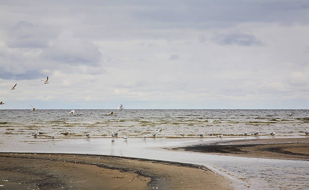 Gulf of Riga in Jurmala. Latvia