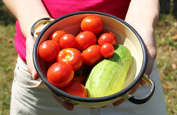 Woman holds bowl with tomatoes and cucumber stock photo
