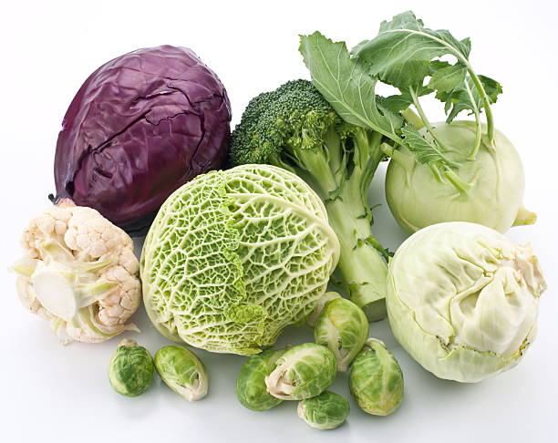 istock Collection of different varieties of cabbage. 487651033