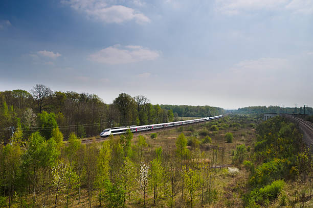 High speed train TGV between forest stock photo