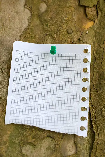 Blank piece of paper at the bark of tree