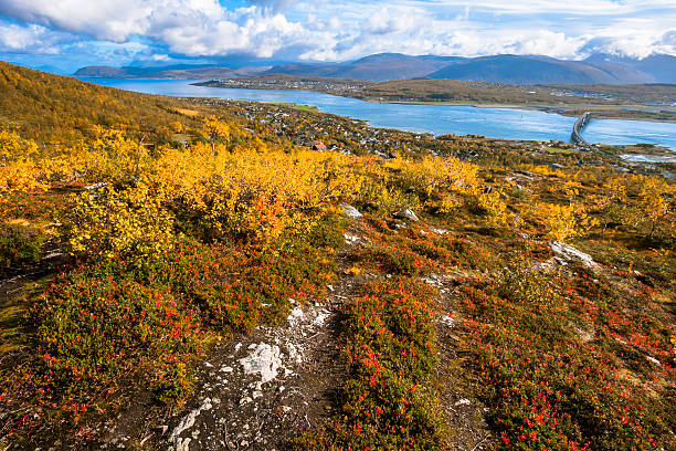 istock Autumn Aerial View over Tromso 487654908