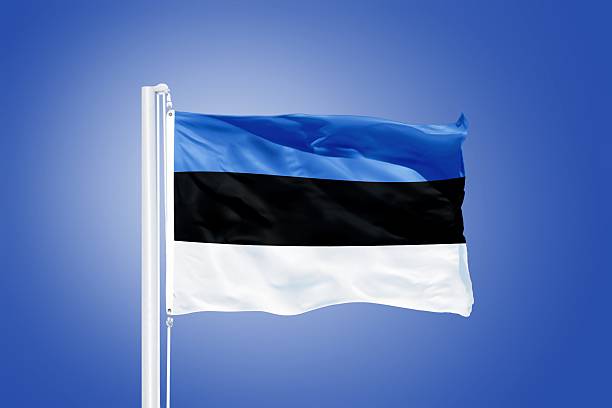 istock Flag of Estonia flying against a blue sky 487658196