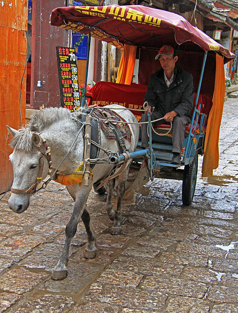 man is driving horse-drawn vehicle  in Lijiang, China Lijiang, China - June 11, 2015: man is driving horse-drawn vehicle  in Lijiang, China blind arcade stock pictures, royalty-free photos & images