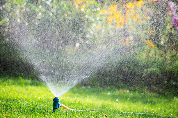 istock Sprinkler watering lawn in garden 487665648