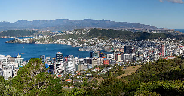 istock Wellington City 487666732