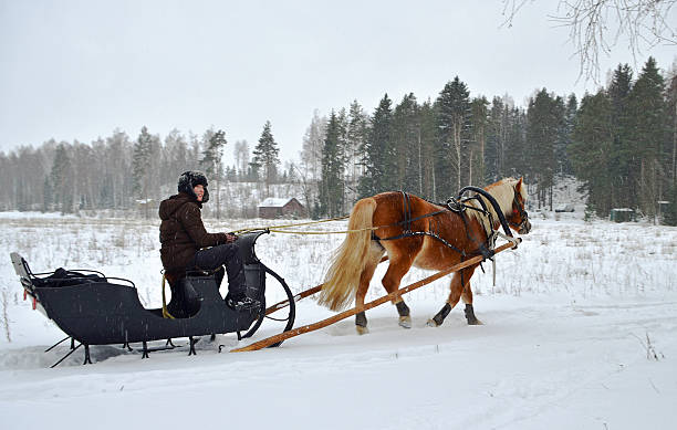 istock Horse and sleigh 487667279