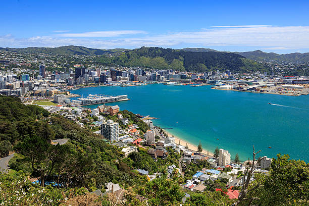 istock Wellington City harbor aerial view 487668250