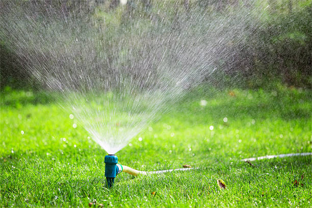 istock Lawn sprinkler spraying water over grass 487668258