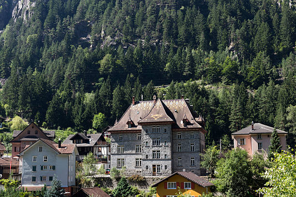 istock beautiful switzerland background with grass and typical houses during summer 487668946