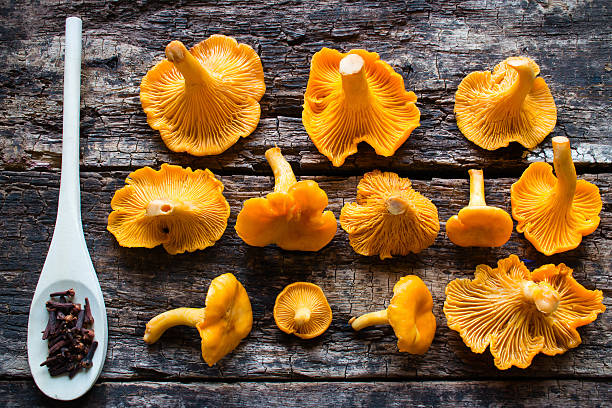 istock Fresh chanterelle and a spoon with condiments 487671590