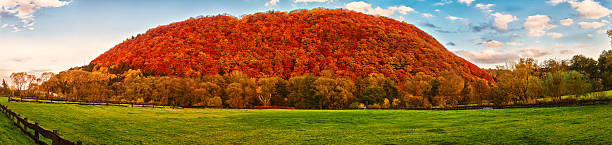 istock Panorama of a German landscape 487671951