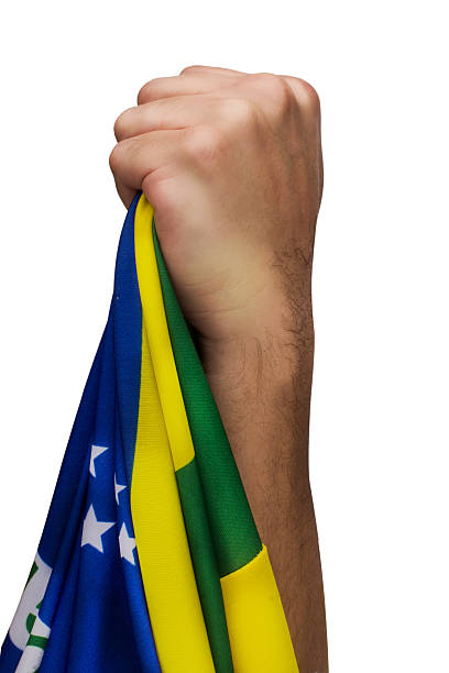 Brazilian fans patriot