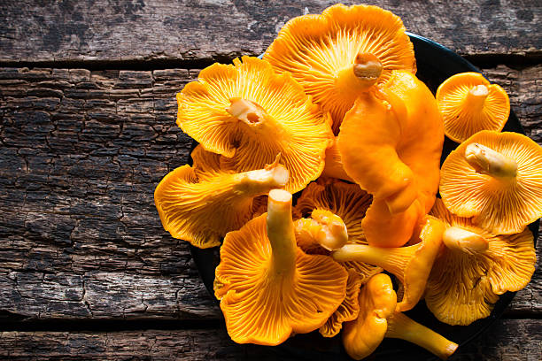 istock chanterelle mushrooms in a black plate closeup 487672232