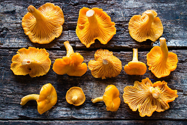 istock Fresh chanterelle on a wooden background 487672274