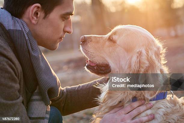 Man Stroking His Dog Stock Photo - Download Image Now - Dog, Owner, Face To Face