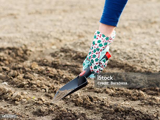 Seeding Works Stock Photo - Download Image Now - Agriculture, Botany, Close-up