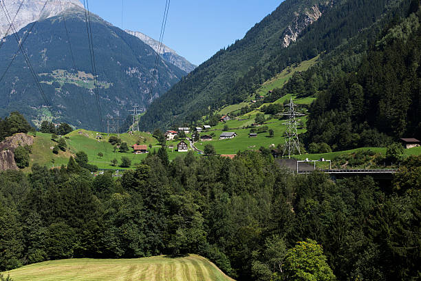 istock beautiful switzerland background with grass and typical houses during summer 487677336