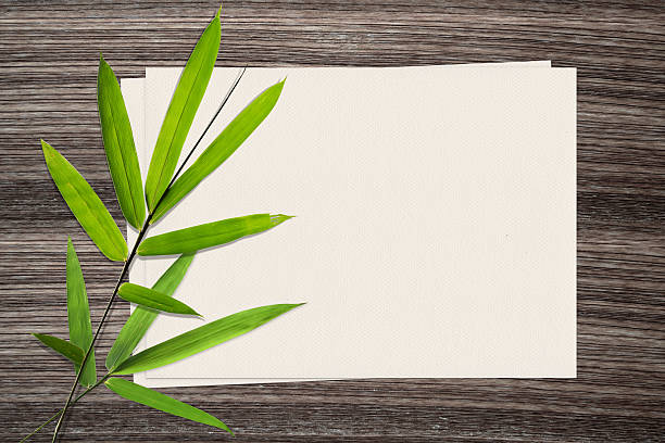 istock Bamboo leaf and and paper on wood background 487677524