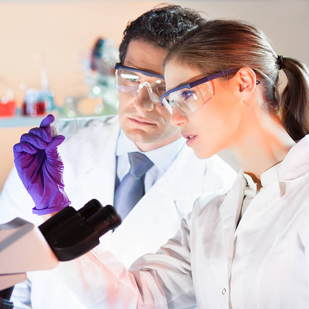 istock Life scientist researching in the laboratory. 487677776