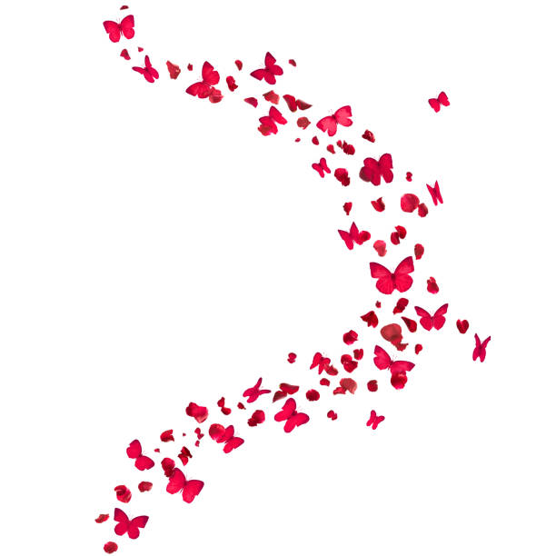Red Butterflies and Rose Petals