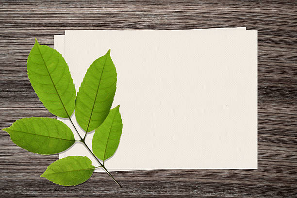 istock Green leaf and and paper on wood background 487680702