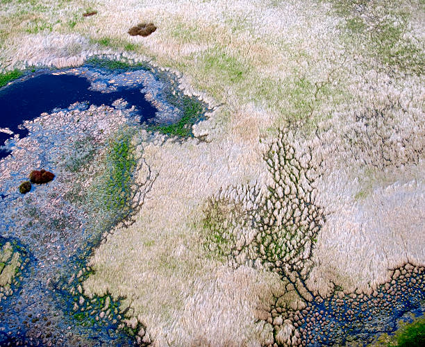 istock Aerial view of lagoon 487683216