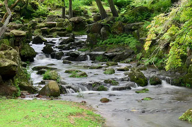 Photo of Waterfalls in Todai-ji Temple