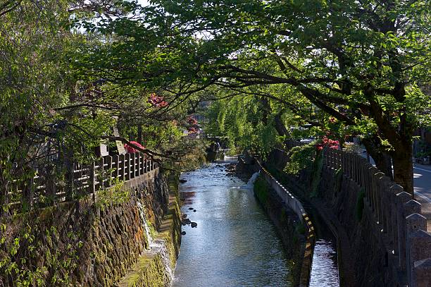 istock Water canal with blooming trees and moss in sunshine 487686608