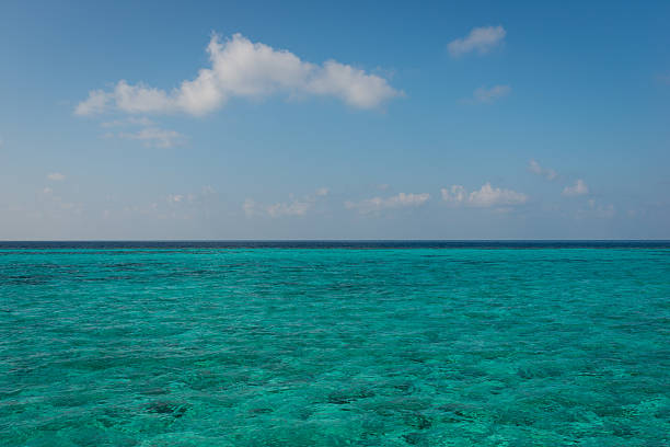 istock Lagoon. Island Angaga. Maldives 487689365