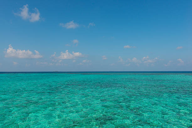 istock Lagoon. Island Angaga. Maldives 487689369