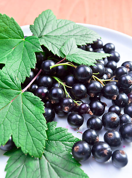 istock black currant, ripe berries and green leaves 487689549