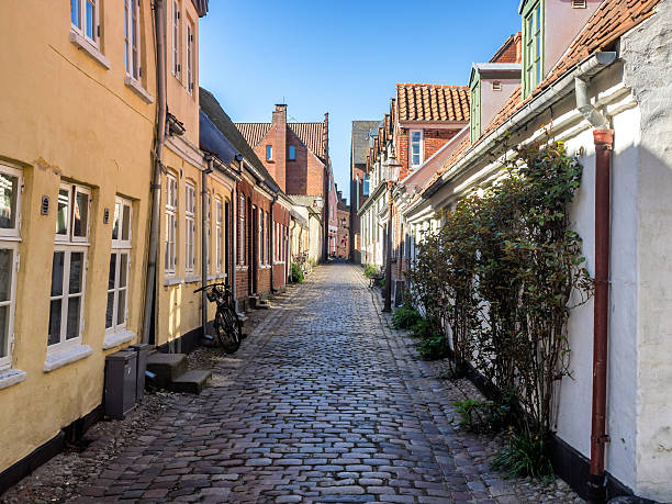 istock Street with old houses from Ribe in Denmark 487689869