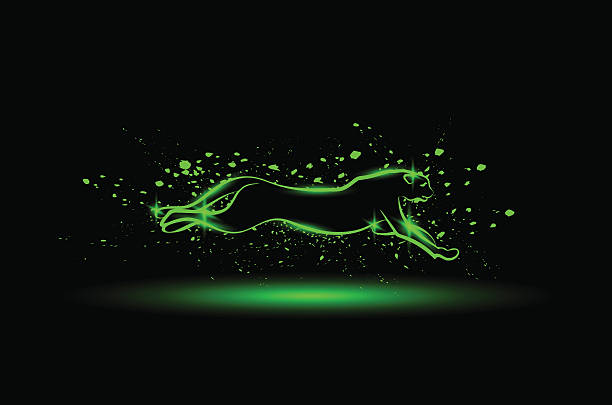 Jaguar Animal Speed Illustrations, Royalty-Free Vector Graphics & Clip Art  - iStock