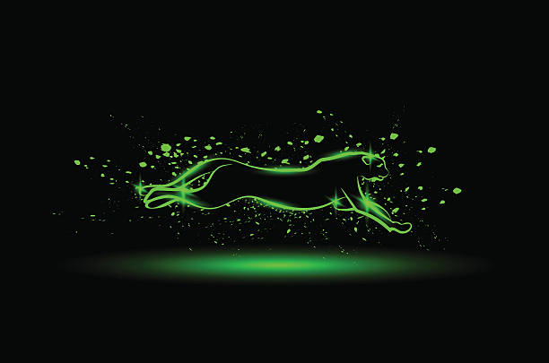 Jaguar Animal Speed Illustrations, Royalty-Free Vector Graphics & Clip Art - iStock Jaguar Animal Speed Illustrations, Royalty-Free Vector Graphics & Clip Art - iStock