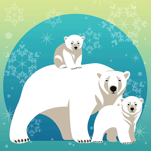 поздравительная открытка с полярный медведь семьи - детёныш stock illustrations
