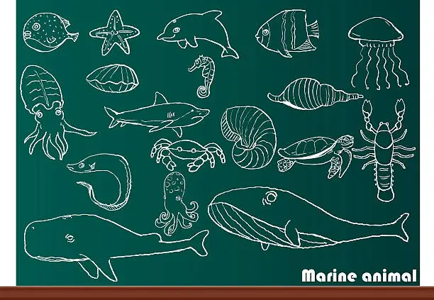 Vector illustration of Marine animal