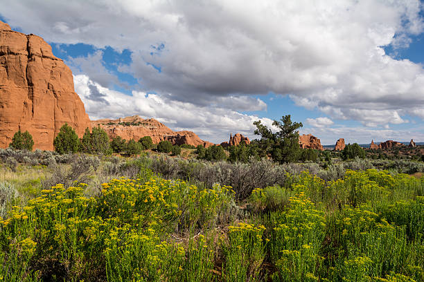 istock Kodachrome Basin State Park, Utah, USA 487691930