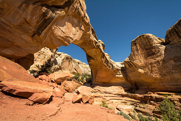 istock Capitol Reef National Park, Utah, USA 487692364