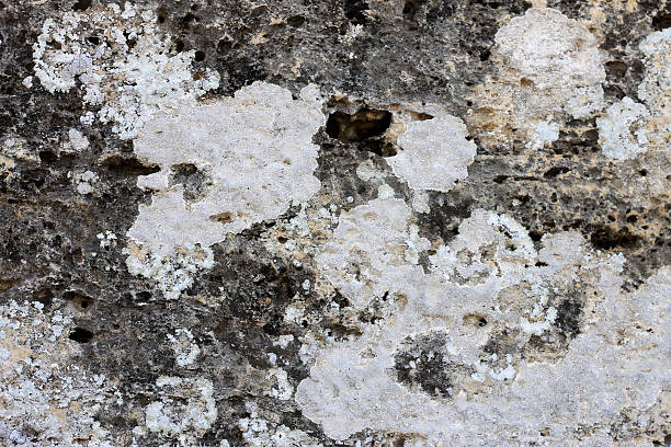 istock Natural background with a stone and the moss 487693323