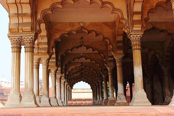istock Architectural details of red fort, Agra 487693907