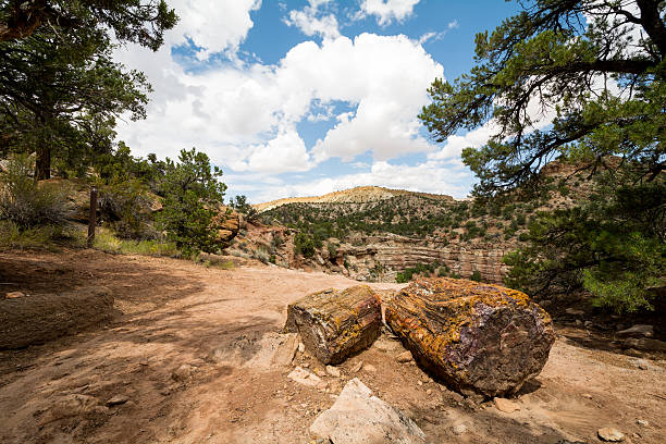 istock Kodachrome Basin State Park, Utah, USA 487695132