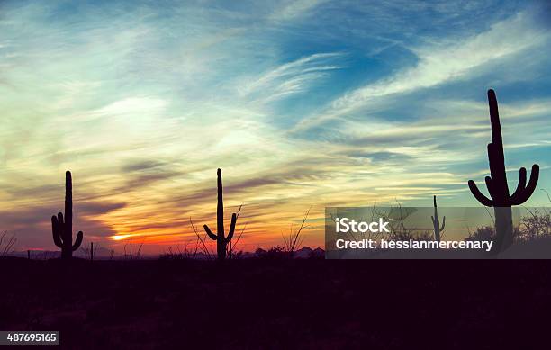 Vintage Sunset At Saguaro National Park Arizona Stock Photo - Download Image Now - Desert Area, Las Vegas, Mexico