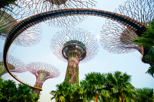 Singapore, Singapore - February 10, 2014: Supertree Grove in Garden by the Bay in Singapore