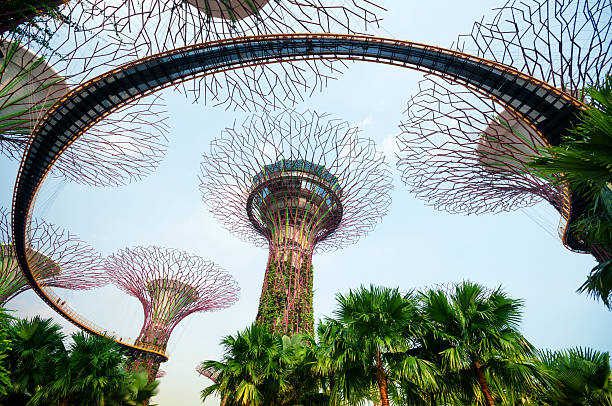 Jardins da Baía, Singapura - fotografia de stock