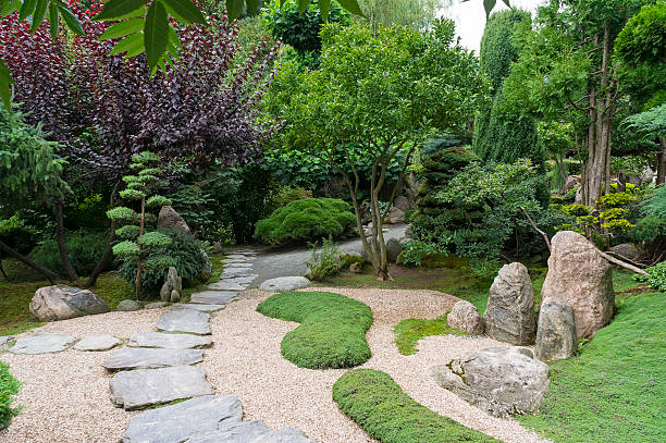 Beautiful Japanese garden with Japanese character, Bonsai Trees, Japanese cherry, Zen-like paths and stones. Botanical Garden, Kotlina Klodzka.