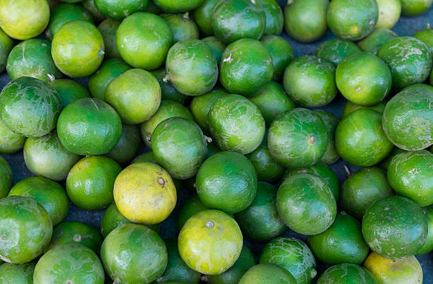 lime agrumi - lemon lime lyme regis vegetable foto e immagini stock
